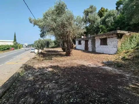 Pogled na stari objekat i dvorište pored puta. - image 4