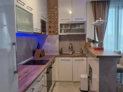 Rent, three bedroom apartment, 65m², Višnjička Banja, Palilula Sve Podlokacije - image 8