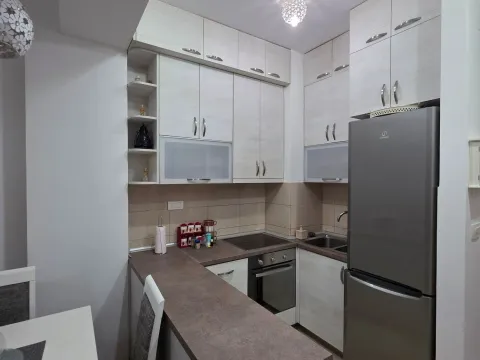 Izdavanje, jednosoban stan, 40m², Ljubović, Podgorica - image 2