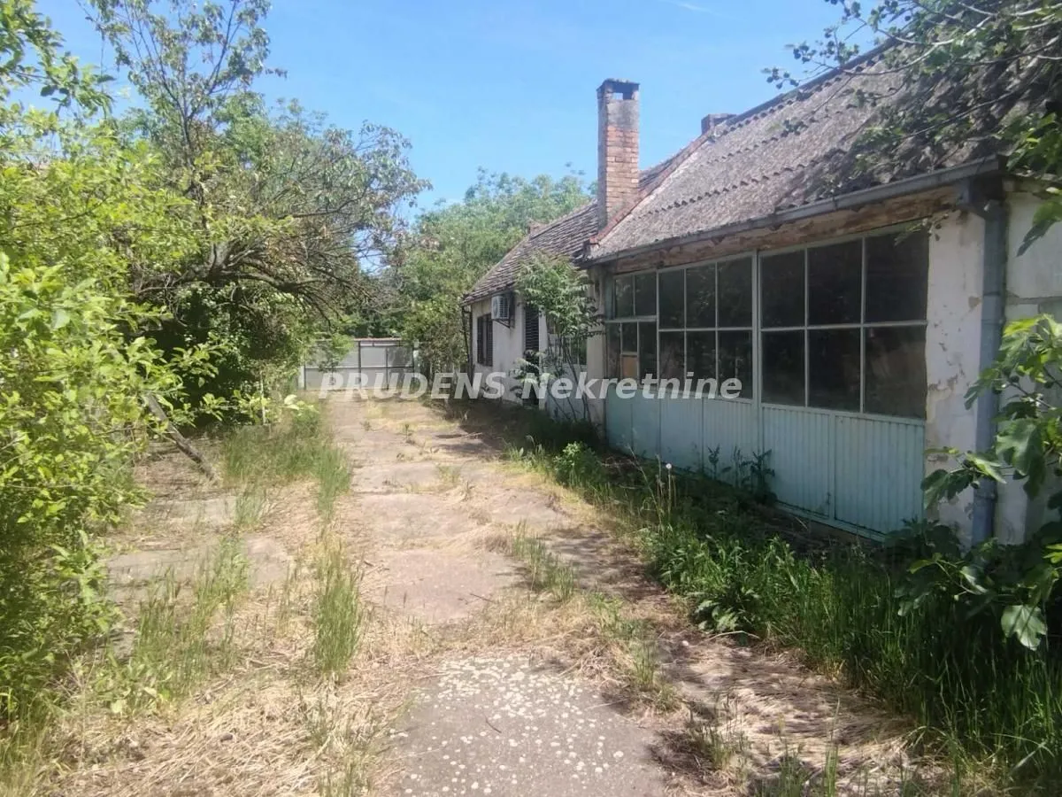 Prodaja, plac, 5700m², Dobanovci, Surčin