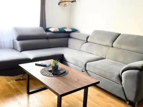 Izdavanje, jednosoban stan, 50m², Stari Aerodrom, Podgorica - image 4