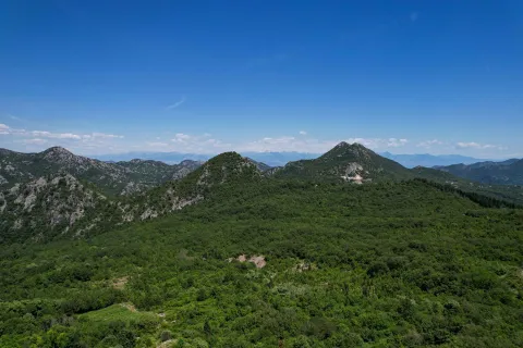 Pogled na šumovite planine i pejzaž. - image 2