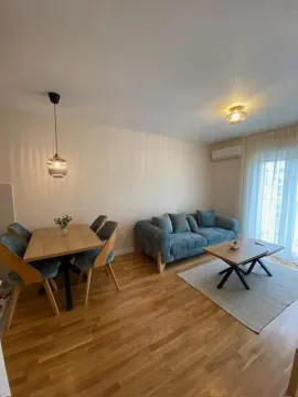 Izdavanje, jednosoban stan, 45m², Podgorica, Crna Gora - image 1