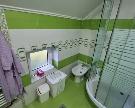 Izdavanje, kuća, 160m², Sremska Kamenica, Petrovaradin - image 23