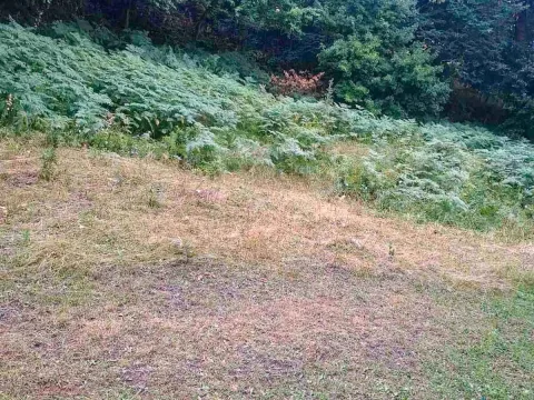 Sale, land lot, 15000m², Pljevlja, Crna Gora - image 3