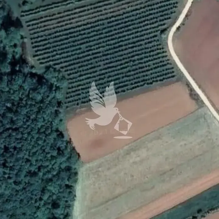 Prodaja, plac, 10000m², Mladenovac, Beograd