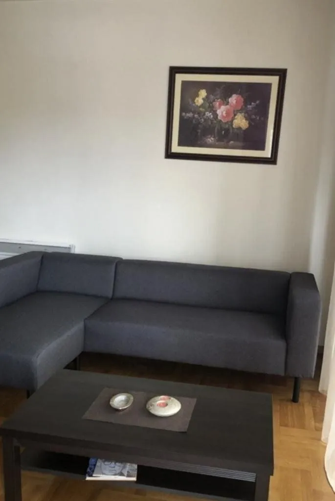 Izdavanje, dvosoban stan, 75m², Tuški Put, Podgorica