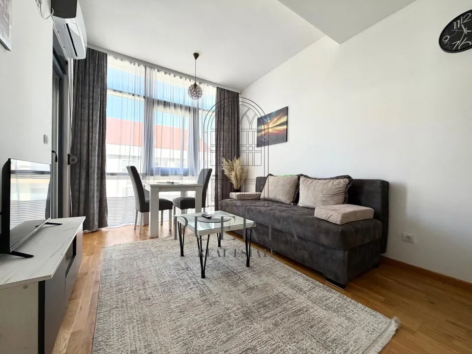 Rent, studio apartment, 25m², Zabjelo, Podgorica