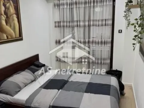 Izdavanje, dvosoban stan, 45m², Stari Grad, Beograd - image 4