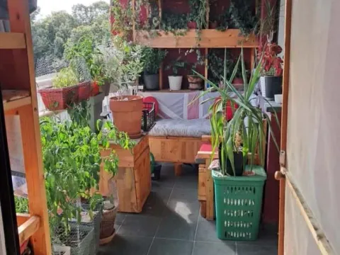 Prodaja, trosoban stan, 81m², Liman 1, Novi Sad Sve Podlokacije - image 13