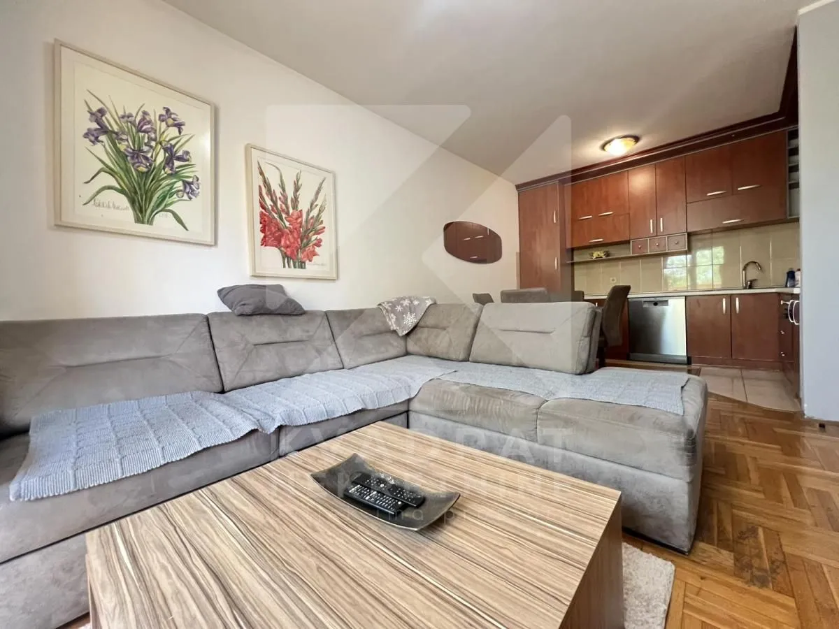 Rent, one bedroom apartment, 43m², Krivi Most, Podgorica