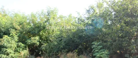 Sale, land lot, 6396m², Šangaj, Novi Sad Sve Podlokacije - image 3