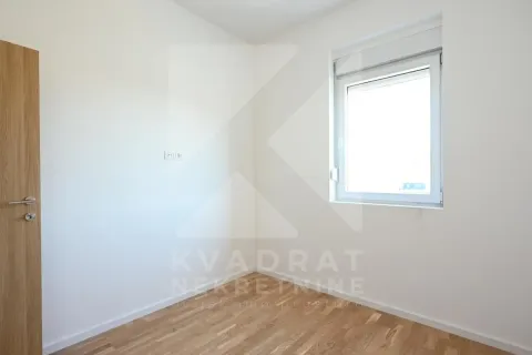 Prazna svijetla soba sa bijelim zidovima, drvenim podom i prozorom. - image 6