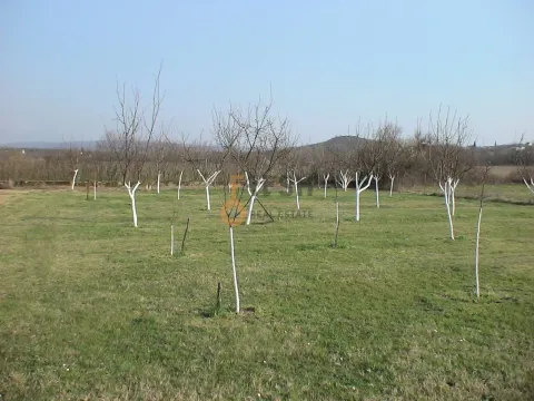 Prodaja, plac, 1796m², Danilovgrad, Crna Gora