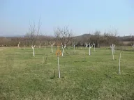 Prodaja, plac, 1796m², Danilovgrad, Crna Gora - image 1