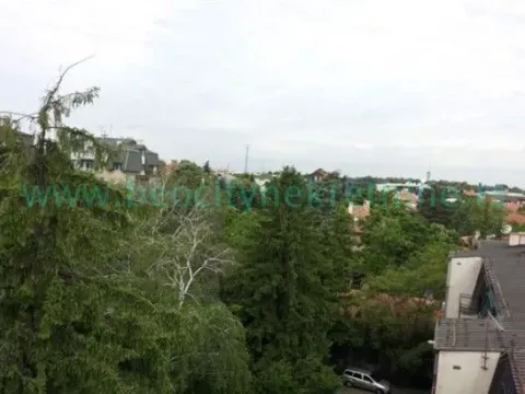 Prodaja, dvosoban stan, 71m², Dedinje Sve Podlokacije, Beograd - image 3