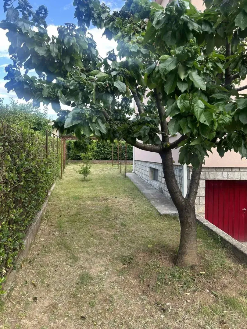 A yard next to the house with a lawn and a tree.