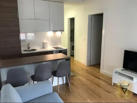 Izdavanje, dvosoban stan, 43m², Južni Bulevar, Vračar Sve Podlokacije - image 2