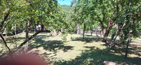 Prodaja, kuća, 1000m², Centar, Mojkovac - image 5