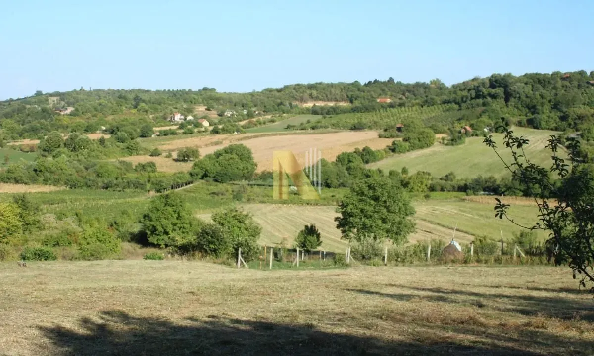 Prodaja, plac, 2000m², Sremska Kamenica, Petrovaradin