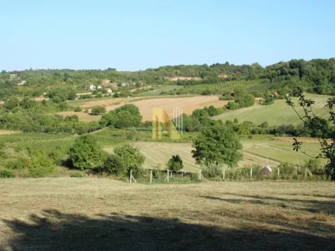 Sale, land lot, 2000m², Sremska Kamenica, Petrovaradin - image 1