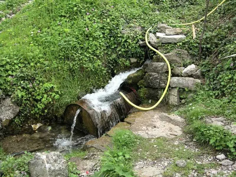 Izvor vode u dvorištu sa crijevom za navodnjavanje.