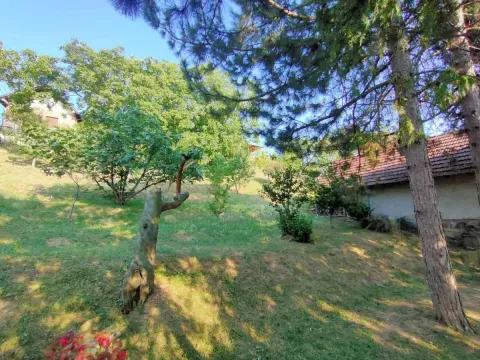 Prodaja, kuća, 250m², Sremska Kamenica, Petrovaradin - image 31