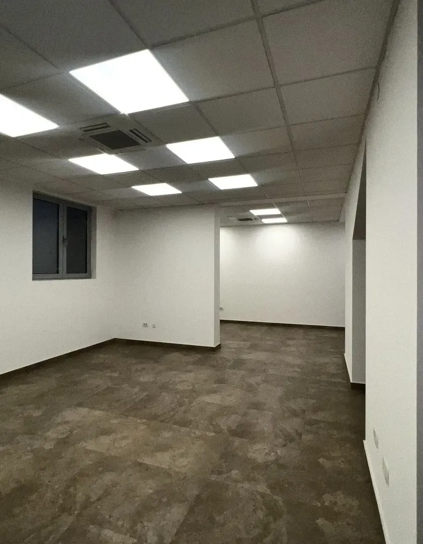 Rent, office space, 251m², Tološka šuma, Podgorica