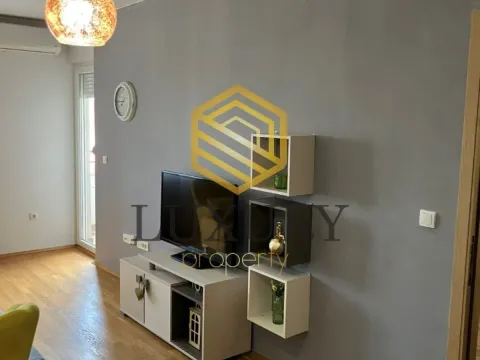 Izdavanje, jednosoban stan, 50m², Tuški Put, Podgorica - image 3