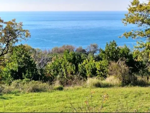 Prodaja, plac, 1075m², Dobra Voda, Budva - image 4