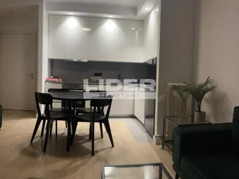 Izdavanje, dvosoban stan, 54m², Savski Venac, Beograd - image 3