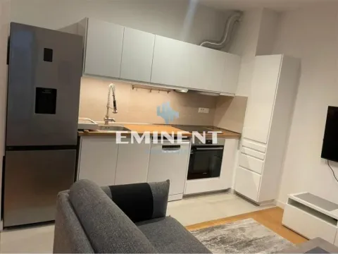 Izdavanje, dvosoban stan, 40m², Stari Grad, Beograd - image 4