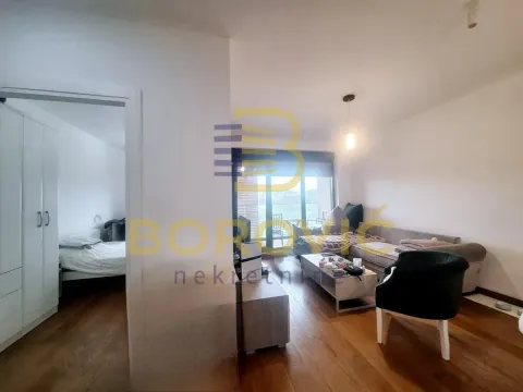 Izdavanje, dvosoban stan, 44m², Vračar Sve Podlokacije, Beograd - image 3
