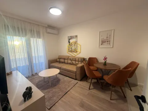 Rent, one bedroom apartment, 38m², Zabjelo, Podgorica - image 2
