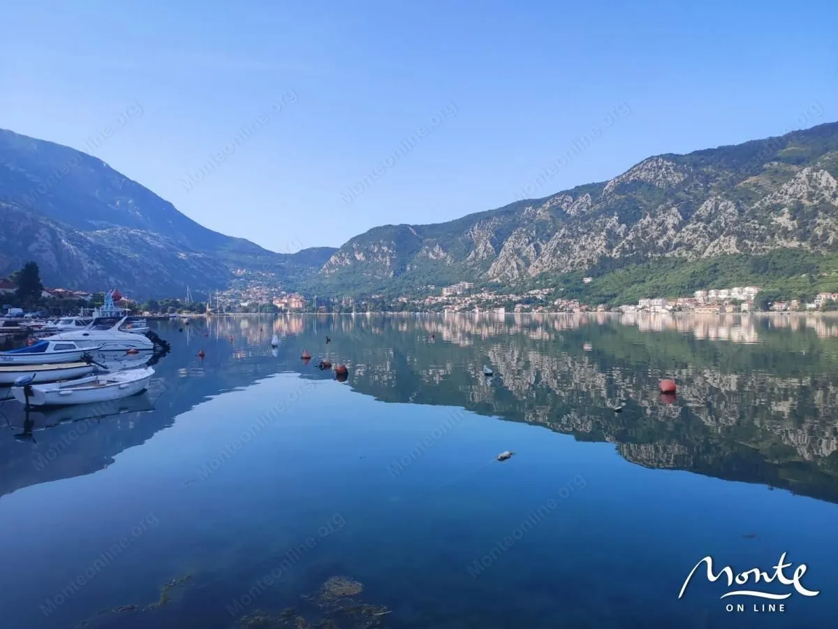 Prodaja, plac, 7500m², Prčanj, Kotor