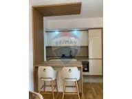 Izdavanje, jednosoban stan, 47m², Zabjelo, Podgorica - image 6