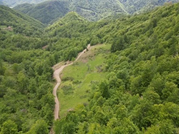 Sale, land lot, 31203m², Žirci, Kolašin