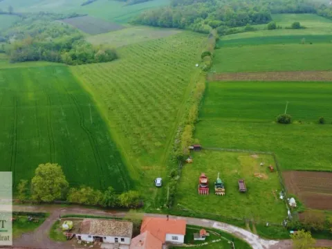 Sale, land lot, 38000m², Kožuar, Ub - image 19