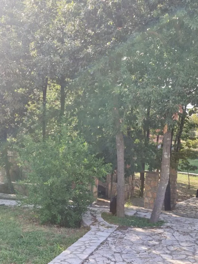 Prodaja, plac, 7300m², Spuž, Danilovgrad