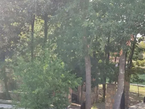 Prodaja, plac, 7300m², Spuž, Danilovgrad - image 24