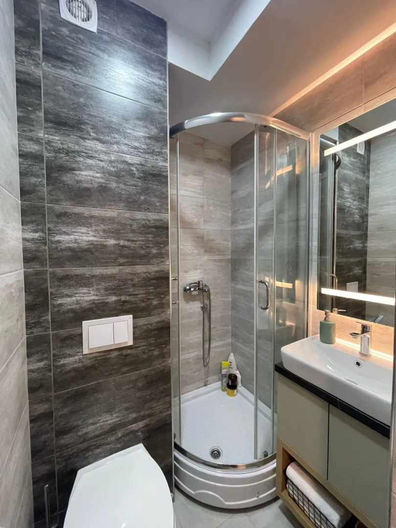 Modern bathroom equipped with a shower enclosure, washbasin, and toilet.