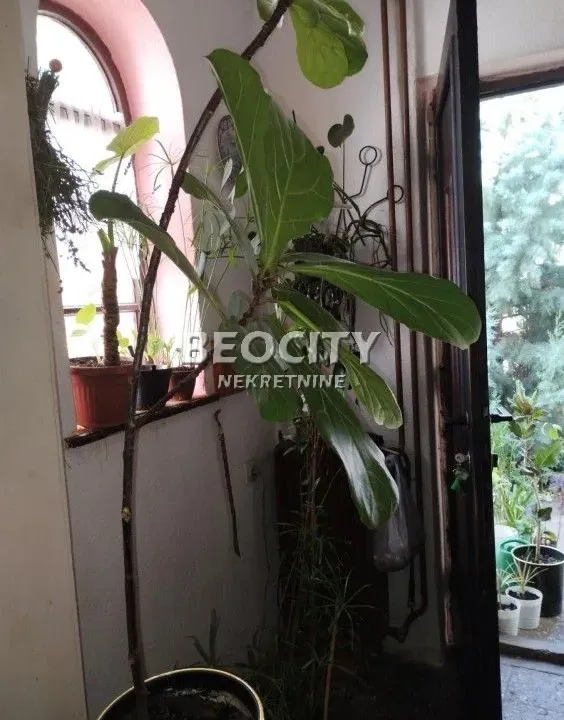 Sale, house, 160m², Centar, Novi Sad