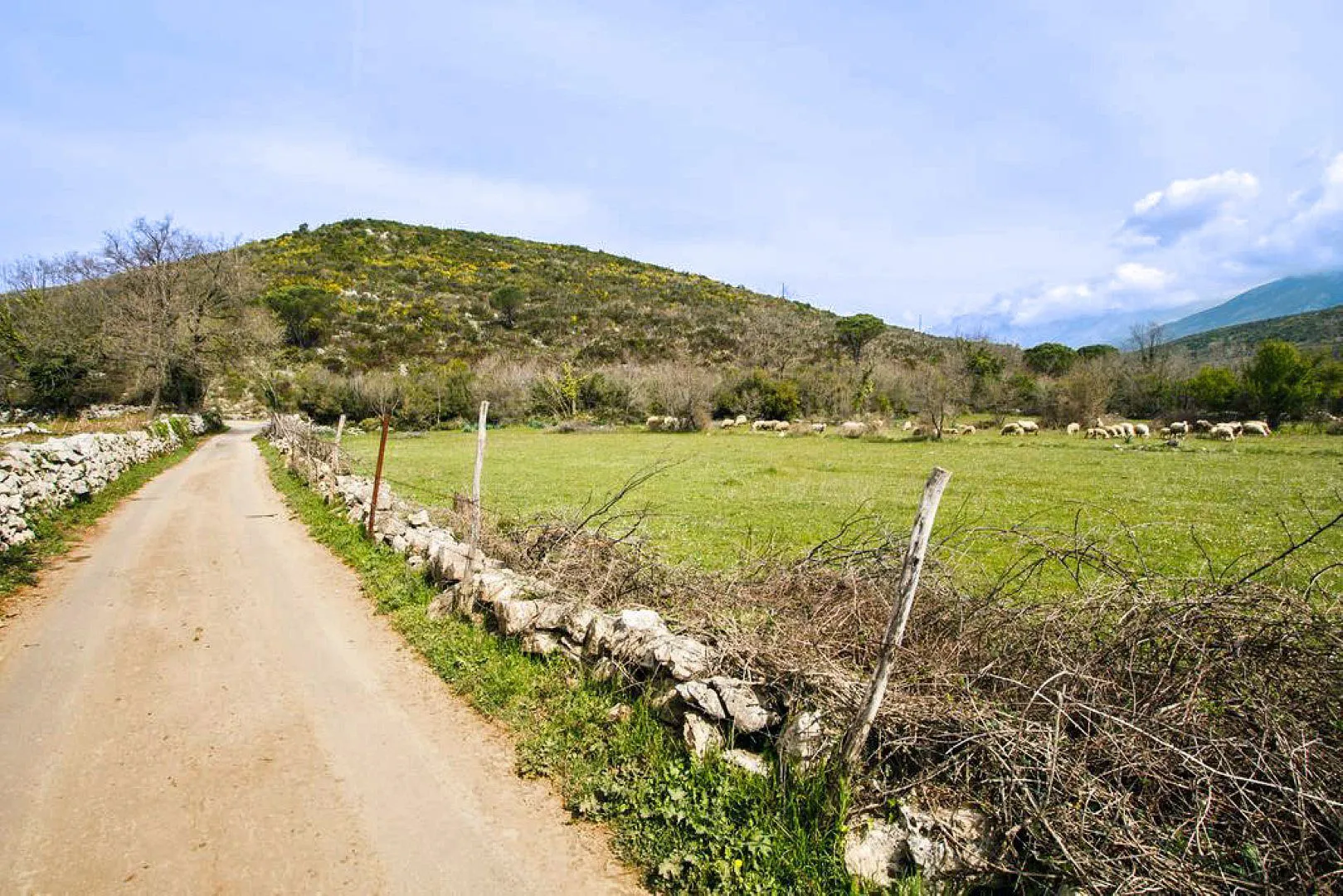 Sale, house, 210m², Zagora, Kotor