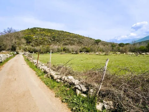 Prodaja, kuća, 210m², Zagora, Kotor - image 25