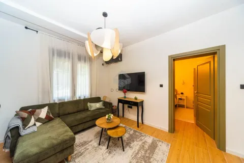 Izdavanje, jednosoban stan, 45m², Preko Morače, Podgorica - image 2