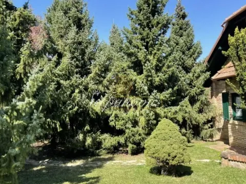 Prodaja, kuća, 202m², Sremska Kamenica, Petrovaradin - image 31