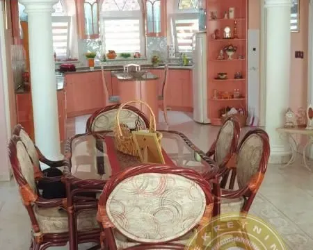 Sale, house, 420m², Kać, Novi Sad Sve Podlokacije - image 31