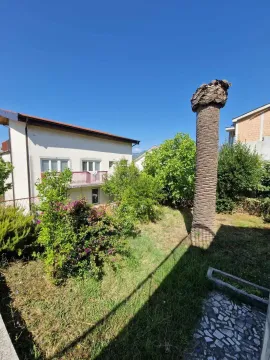 Zeleno dvorište sa palmom ispred kuće. - image 9