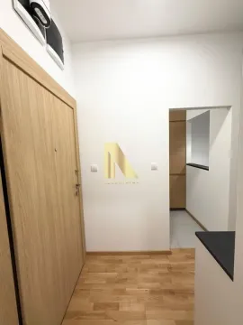Prodaja, dvosoban stan, 42m², Telep, Novi Sad Sve Podlokacije - image 17