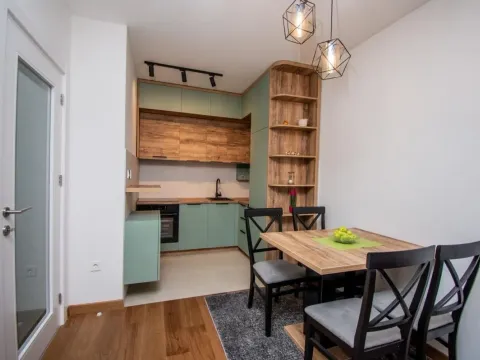 Izdavanje, stan, 50m², Tološka šuma, Podgorica - image 11